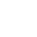 l55 icon