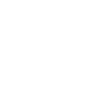 l55 icon