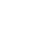 l55 icon