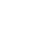 l55 icon