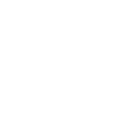 l55 icon