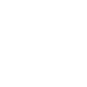 l55 icon