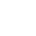 l55 icon