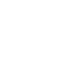 l55 icon